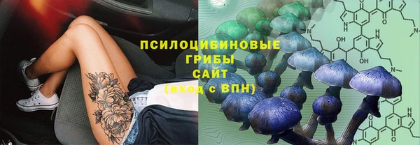 трава Заводоуковск