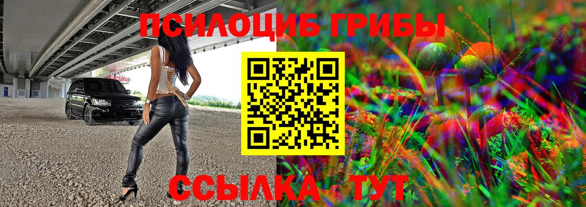 Псилоцибиновые грибы Psilocybine cubensis Кострома