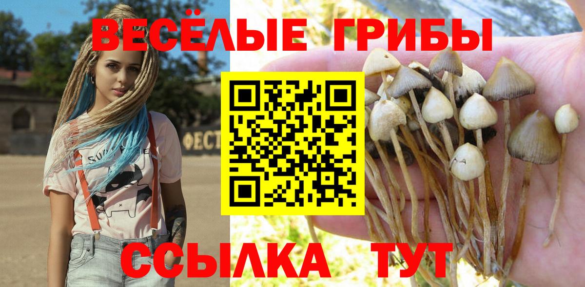 Галлюциногенные грибы мицелий  Вход с VPN  наркошоп  Кострома 